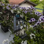 Apartment Maji - Historic With Pool & Parking, 100m From Ferry & Train *